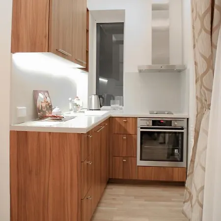 One Bedroom Labdariu Vilnius